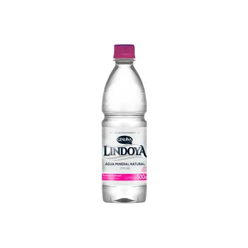Garrafa 500ml Lindoia (com gás)
